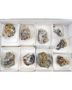 Wulfenite xls; Alamo Mining District, Arizona, USA; NS