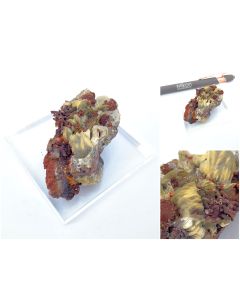 Paradamite xls; Mina Ojuela, Mapimi, Mexico; Min