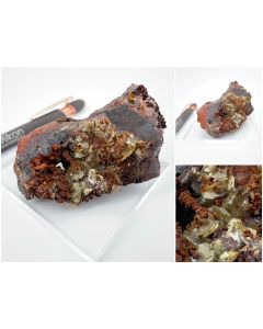 Paradamite xls; Mina Ojuela, Mapimi, Mexico; Scab