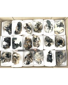 Aegirine, Zircon, Pyrochlore, Epididymite xls; on matrix; Mt. Malosa, Zomba, Malawi; 1 unique flat