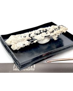 Beryl (Goshenite) xls; Erongo Mtns., Usakos, Namibia; Scab