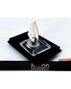 Epididymite xls; Mt. Malosa, Zomba, Malawi; Min