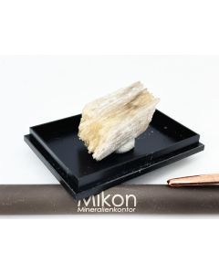 Epididymite xls; Mt. Malosa, Zomba, Malawi; Min