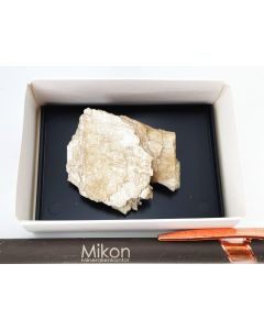 Epididymite xls; Mt. Malosa, Zomba, Malawi; Min