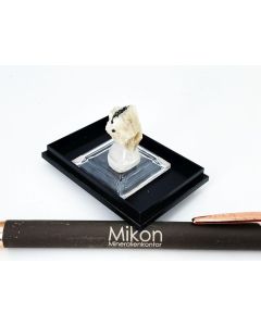 Epididymite xls; Mt. Malosa, Zomba, Malawi; Min