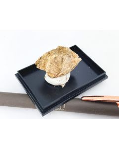 Eudidymite xls; Mt. Malosa, Zomba, Malawi; Min