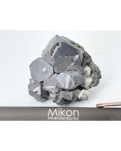 Galena xls; Krushov Dol Mine, Madan, Bulgaria; Scab