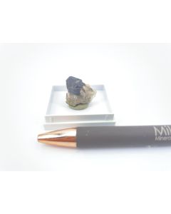 Galenite xls; Hildfeld, at Clemensberg, Germany; Gerd Tremmel collection; MM 