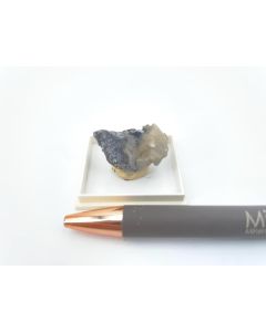 Galenobismutite xls, Scheelite xls; Hunan, China; Gerd Tremmel Collection; Min