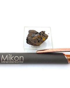 Scorodite xx; Grube Schöne Aussicht, Dernbach, Westerwald, Germany; MM