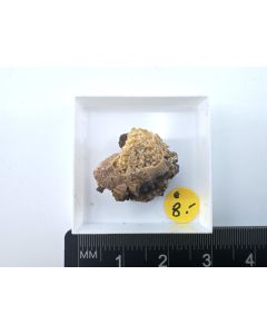 Roedderite xls; Emmelberg, Üdersdorf, Eifel, Germany; MM (383)