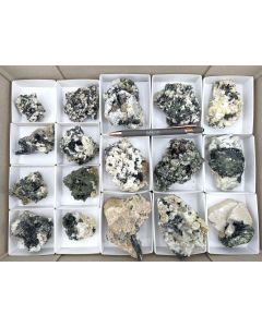 Aegirine xls, Zircon xls; Mt. Malosa, Zomba, Malawi; 1 unique flat (494)