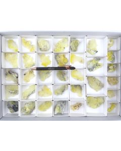 Brucite xls; Pakistan; 1 flat; unique