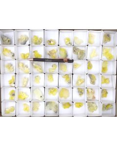 Brucite xls; Pakistan; 1 flat; unique