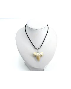 Leather necklace with shark tooth pendant; Morocco; 10 piece