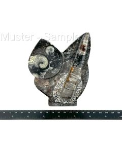 Ammonite - Orthoceras plate with stand, app. 12 x 18 cm, polished, black, Morocco, 1 piece