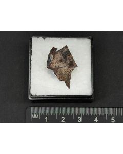 Seamanite xls; Iron Monarch Quarry, W.A., Australia; MM; unique piece