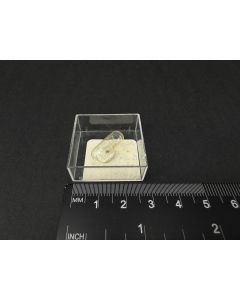 Akdalaite; Bulla Island, Caspian Sea, Azerbaijan; Capsule; unique piece
