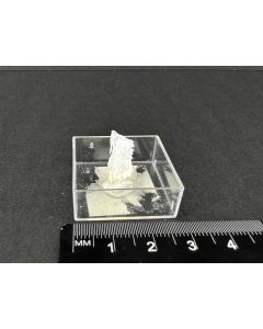 Revdite; Alluaiv, Lovozero, Kola, Russia; MM; unique piece
