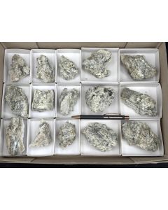 Nifontovite xls; partly UV-active; Charcas, S.L.P., Mexico; 1 flat; unique (17)
