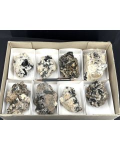 Aegirine xx, Feldspar xx, on matrix; Mt. Malosa, Zomba, Malawi; 1 unique flat (40)