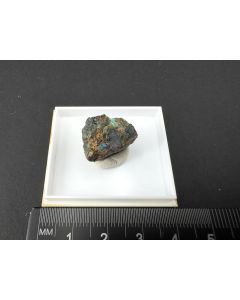 Ahlfeldite xls; Mina El Dragón, Potosí, Bolivia; TN; unique piece