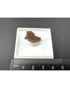 Ammoniojarosite xls; Kalwang, Austria; TN; unique piece.
