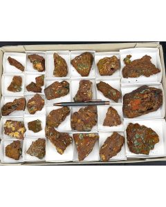 Austinite xls; Mapimi, Mexico; 1 flat; unique 