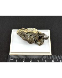 Allargentum xls; Hartenstein, Saxony, Germany; Min; unique piece
