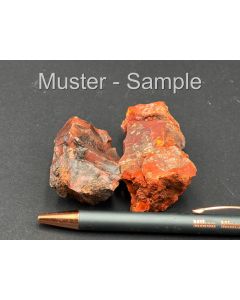 Fossilized (petrified) wood; red, multicolored; Posey Mine, Utah, USA; 100 g