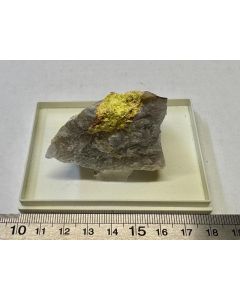 Ferrimolybdite xls; St Louis Claim, Yavapai Co, AZ, USA. Min