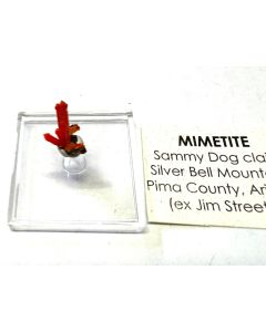 Mimetite xl; Sammy Dog Claim, AZ, USA; TN.
