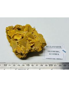Wulfenite Xls; Bleiberg, Kärnten, Austria; Cab.