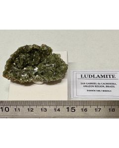 Ludlamite xls; Amazon Region, Brazil. Min.