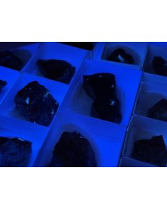 Idrialite; Cinnabar; Pecoraite; etc.; Culver Baer Mine; Sonoma County; California; USA; 1 flat; unique