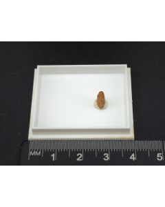 Bahianite; Bahia, Brazil; TN; unique piece
