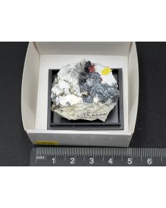 Edenharterite, Dufrénoysite xls; Lengenbach Quarry, Binntal, Valais, Switzerland; Min; unique piece
