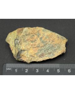 Ferrisicklerite; Rio Namibe, Angola; Gerd Tremmel collection; Min; unique piece