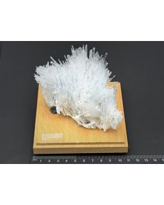 Scolecite xls; Pune, India; Gerd Tremmel collection; Cab; unique piece

