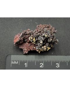 Descloizite xls; Los Lamentos, Mexico; Gerd Tremmel collection; TN; unique piece
