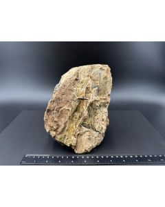 Amber; Sumatra, Indonesia; 1.5 kg; unique piece