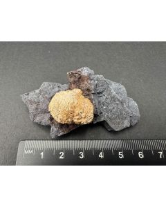 Poldervaartite xls; N'Chwaning II Mine, Kalahari Manganese Field, South Africa; Min; unique piece
