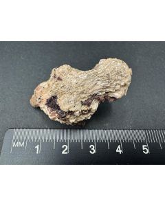 Poldervaartite xls; N'Chwaning II Mine, Kalahari Manganese Field, South Africa; Min; unique piece
