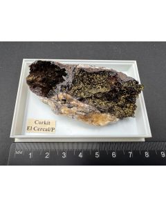 Corkite xls; Cercal do Alentejo, Santiago do Cacém, Setúbal, Portugal; Gerd Tremmel collection; Scab; unique piece
