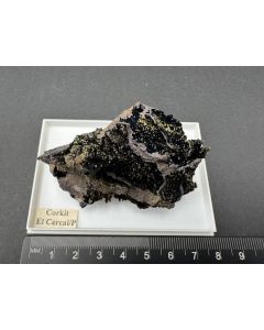 Corkite xls; Cercal do Alentejo, Santiago do Cacém, Setúbal, Portugal; Gerd Tremmel collection; Scab; unique piece
