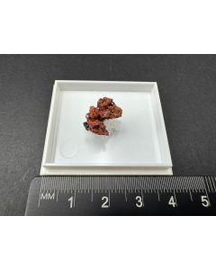 Durangite xls; Thomas Range, UT, USA; TN; unique piece
