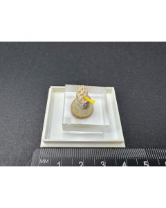 Eifelite xls; Bellerberg, Eifel, Germany; TN; unique piece
