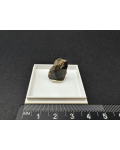 Edenite xl; Wilberforce, Ontario, Canada; TN; unique piece
