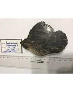 Uraninite - polished piece; 343 mine, Schneckenstein, Sachsen, Germany; Scab; unique piece