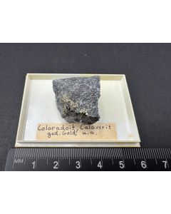 Coloradoite, Calaverite; Kalgoorlie, WA, Australia; TN; unique piece
